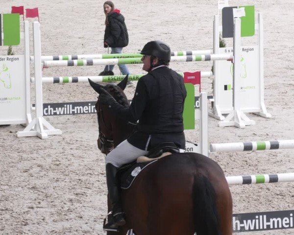 Reitturnier Aachen 2024