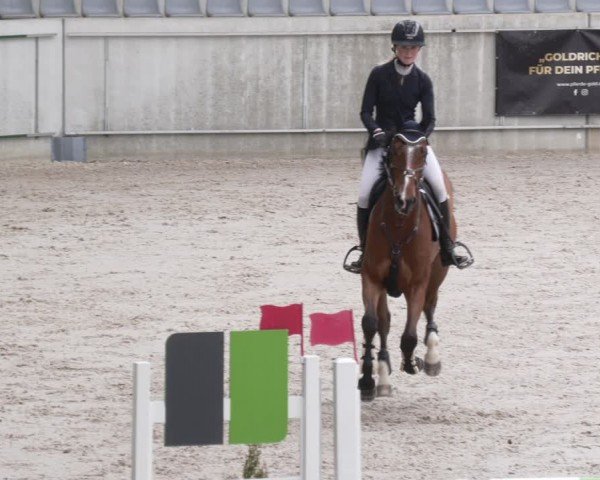 Reitturnier Aachen 2024