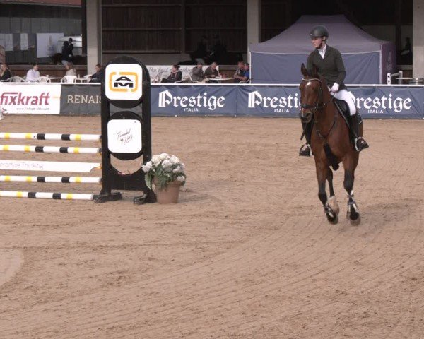 Reitturnier Ranshofen - Braunau am Inn 2024