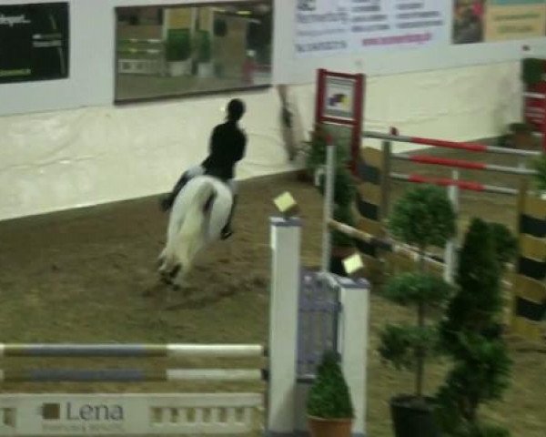 Legdener Ponymeeting 2011