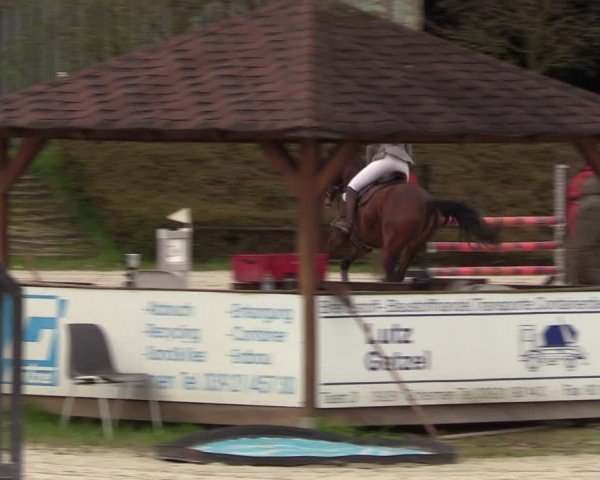Reitturnier Pietzpuhl 2024