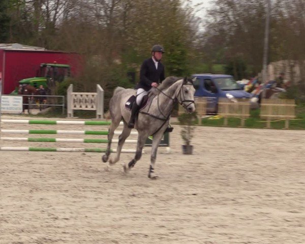 Reitturnier Pietzpuhl 2024