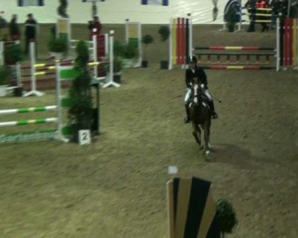 Legdener Ponymeeting 2011