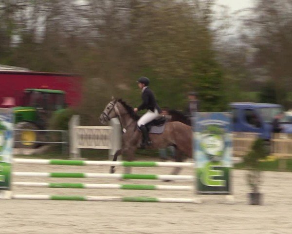 Reitturnier Pietzpuhl 2024