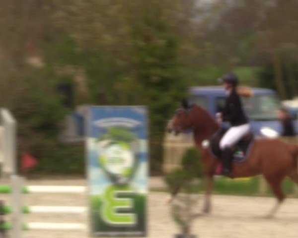 Reitturnier Pietzpuhl 2024