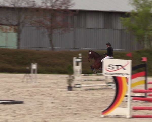 Reitturnier Pietzpuhl 2024