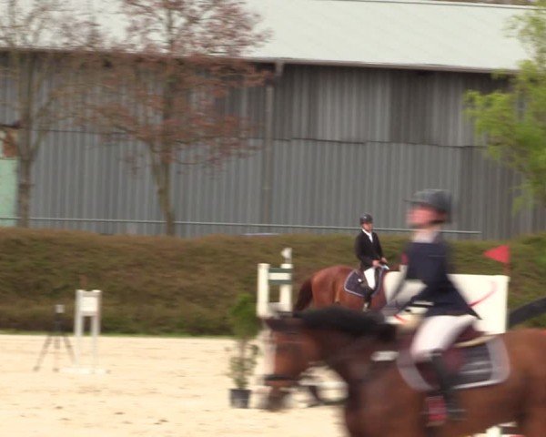 Reitturnier Pietzpuhl 2024