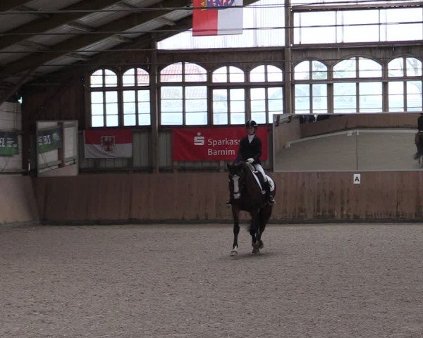Reitturnier Elisenau 2024