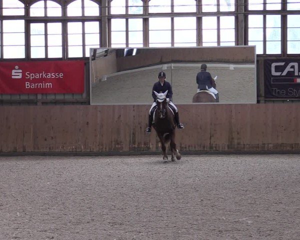 Reitturnier Elisenau 2024