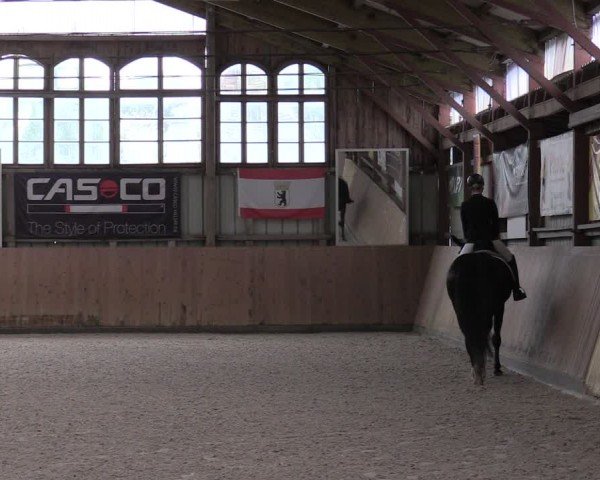 Reitturnier Elisenau 2024