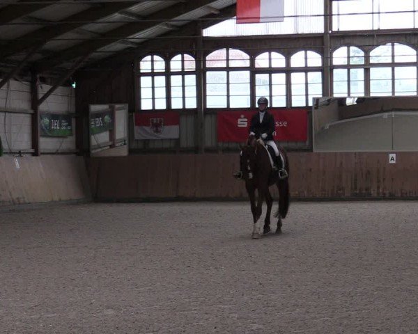 Reitturnier Elisenau 2024