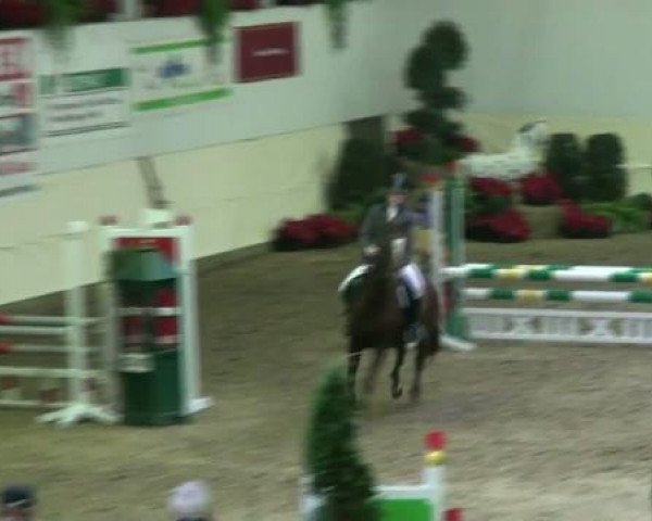 Legdener Ponymeeting 2011