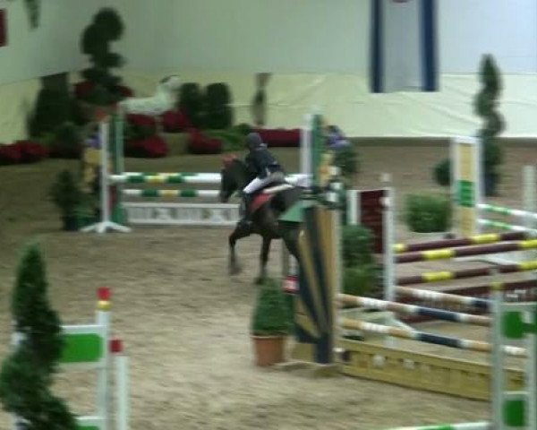 Legdener Ponymeeting 2011