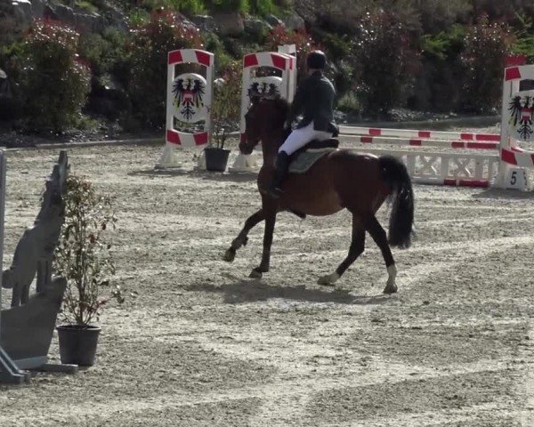 Reitturnier St. Margarethen 2024