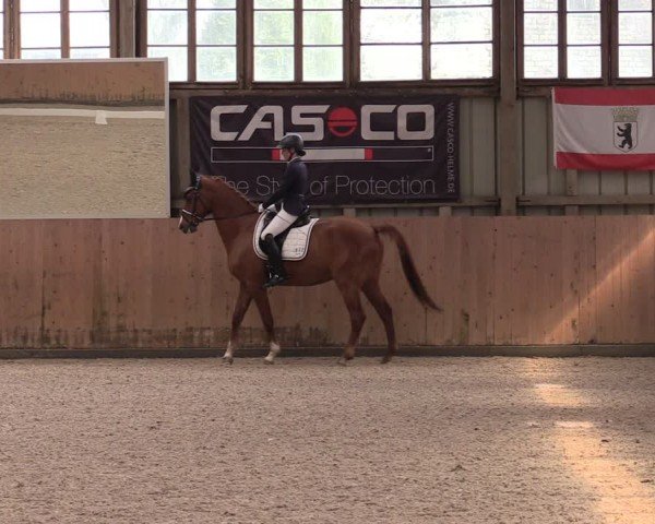 Reitturnier Elisenau 2024