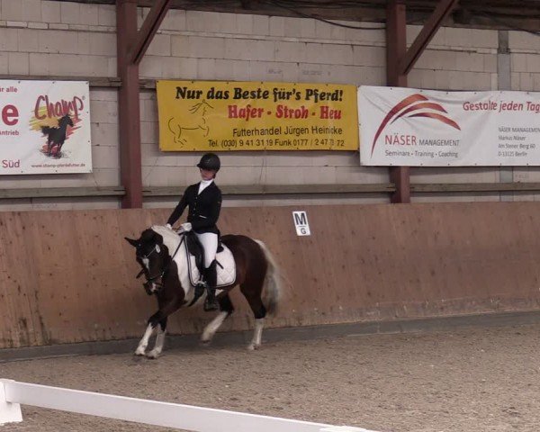 Reitturnier Elisenau 2024