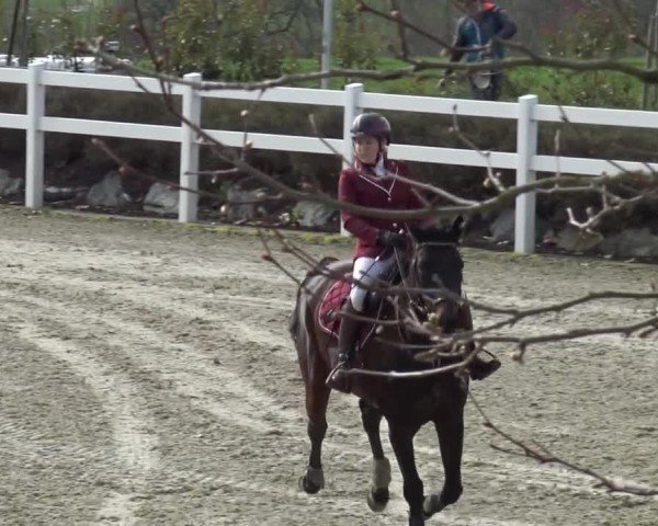 Reitturnier St. Margarethen 2024