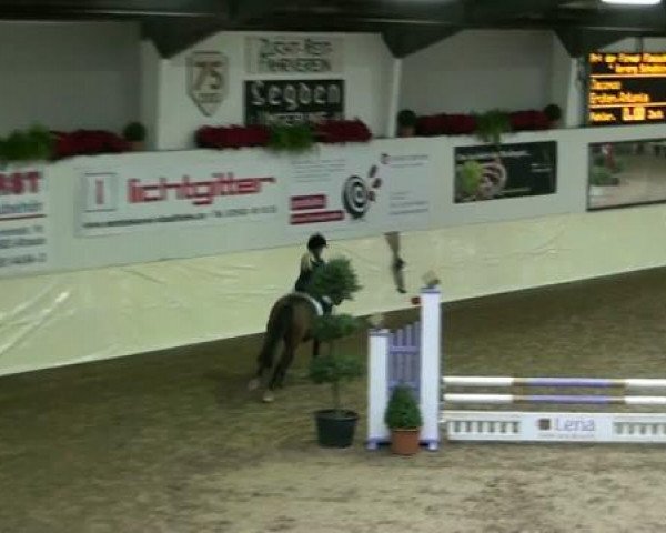 Legdener Ponymeeting 2011