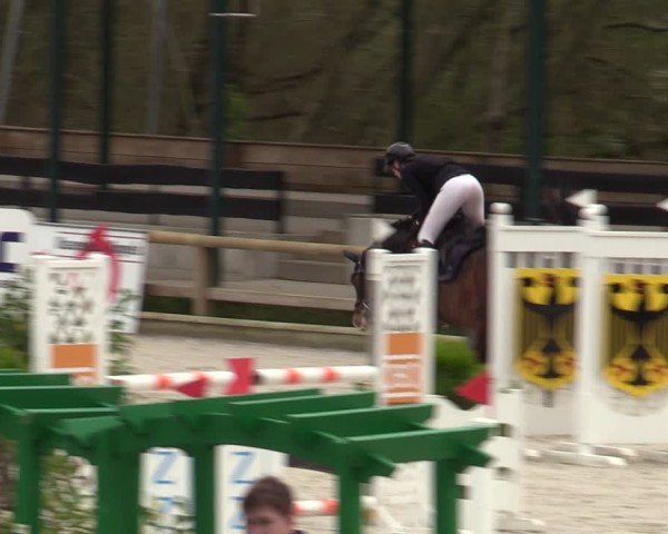 Reitturnier Balve-Wocklum 2024