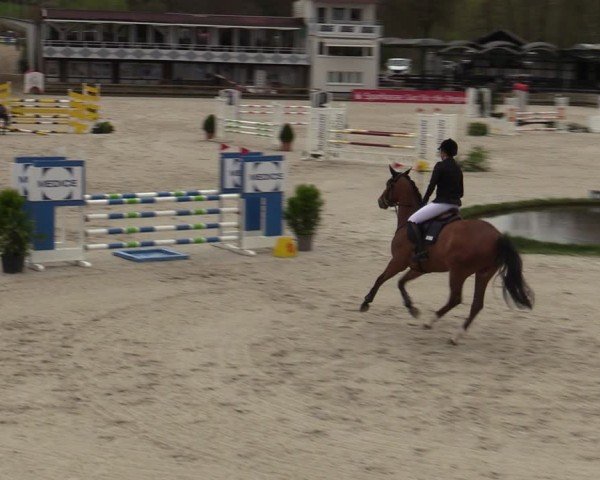 Reitturnier Balve-Wocklum 2024