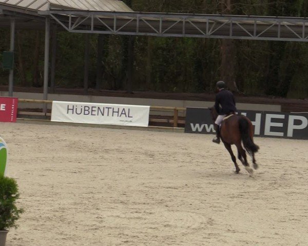 Reitturnier Balve-Wocklum 2024