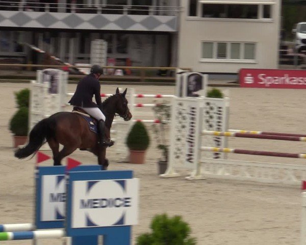 Reitturnier Balve-Wocklum 2024