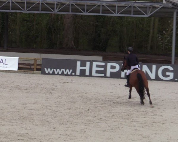 Reitturnier Balve-Wocklum 2024