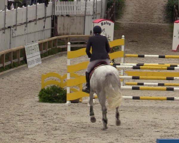 Reitturnier Balve-Wocklum 2024