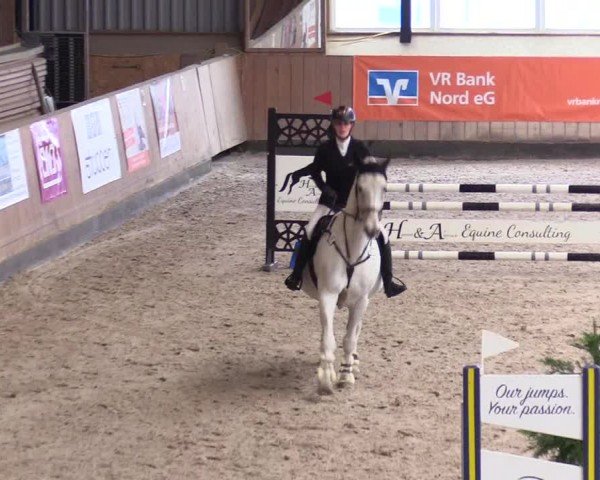 Reitturnier Niebüll - Jumping Team Nord 2024