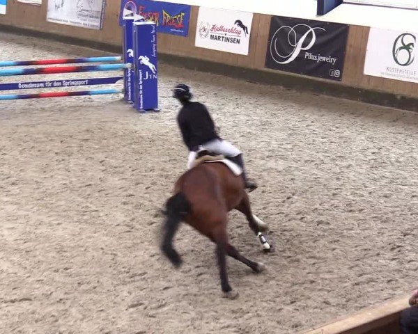 Reitturnier Niebüll - Jumping Team Nord 2024