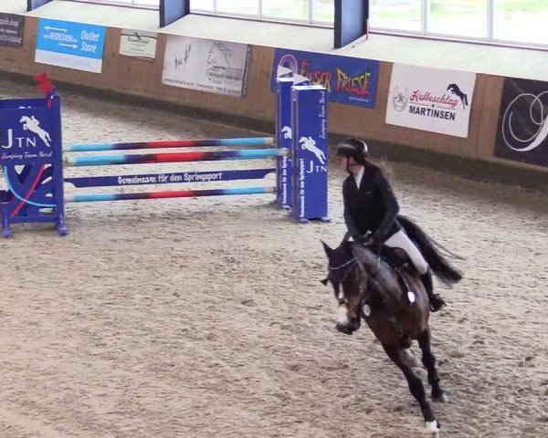 Reitturnier Niebüll - Jumping Team Nord 2024