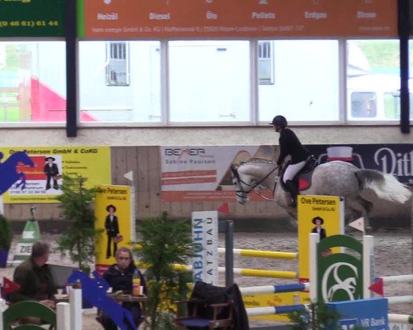 Reitturnier Niebüll - Jumping Team Nord 2024