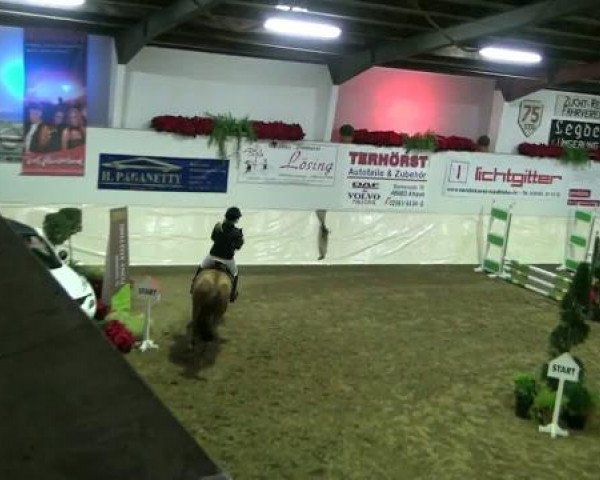 Legdener Ponymeeting 2011