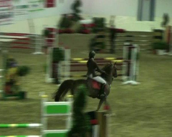 Legdener Ponymeeting 2011