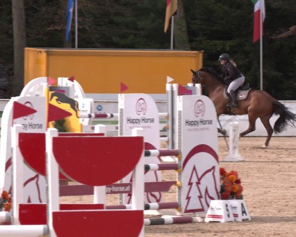 Reitturnier Ranshofen - Braunau am Inn 2024