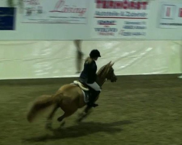 Legdener Ponymeeting 2011