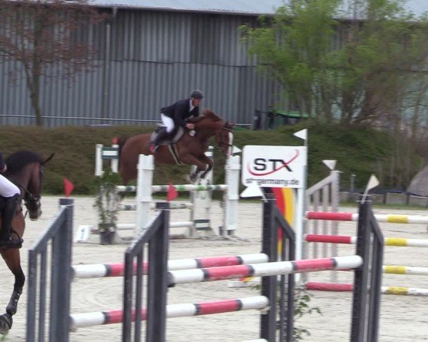 Reitturnier Pietzpuhl 2024
