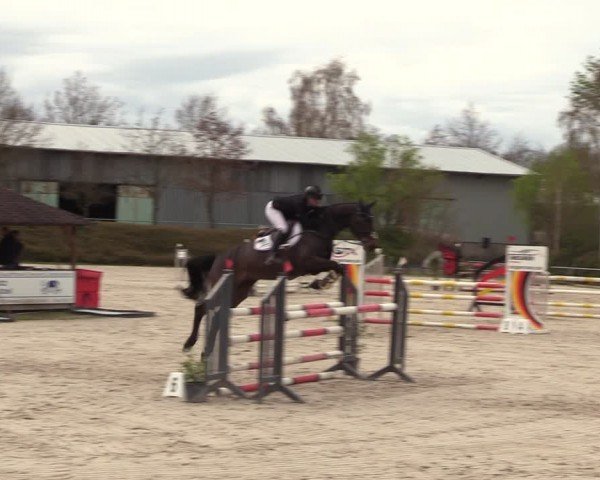 Reitturnier Pietzpuhl 2024