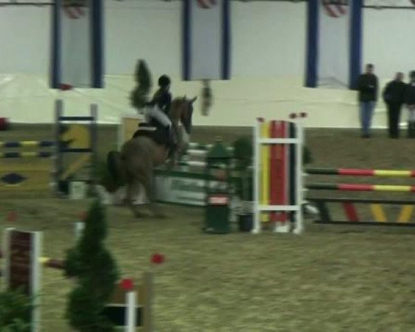 Legdener Ponymeeting 2011