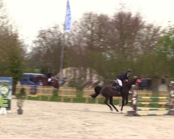 Reitturnier Pietzpuhl 2024
