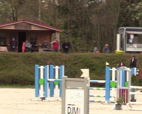 Reitturnier Pietzpuhl 2024
