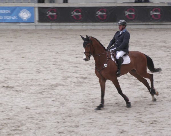 Reitturnier Aachen 2024