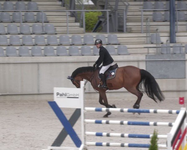 Reitturnier Aachen 2024