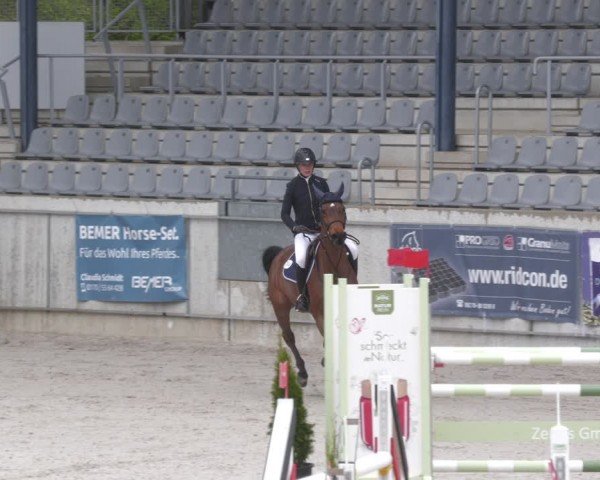 Reitturnier Aachen 2024