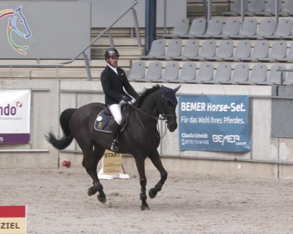 Reitturnier Aachen 2024