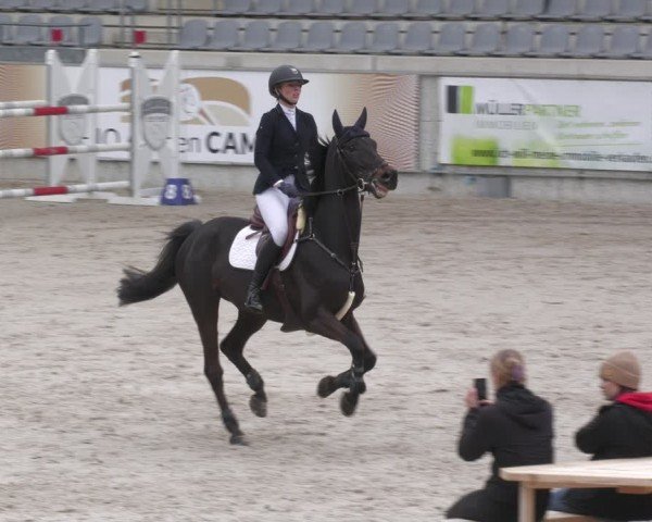 Reitturnier Aachen 2024