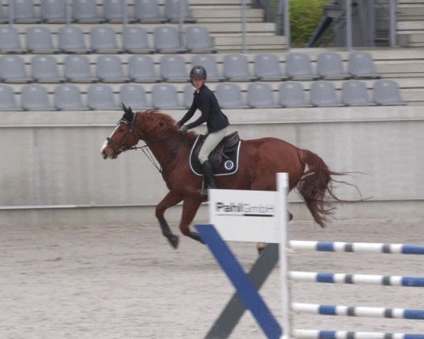 Reitturnier Aachen 2024
