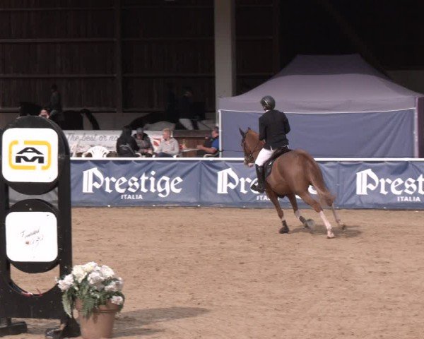 Reitturnier Ranshofen - Braunau am Inn 2024