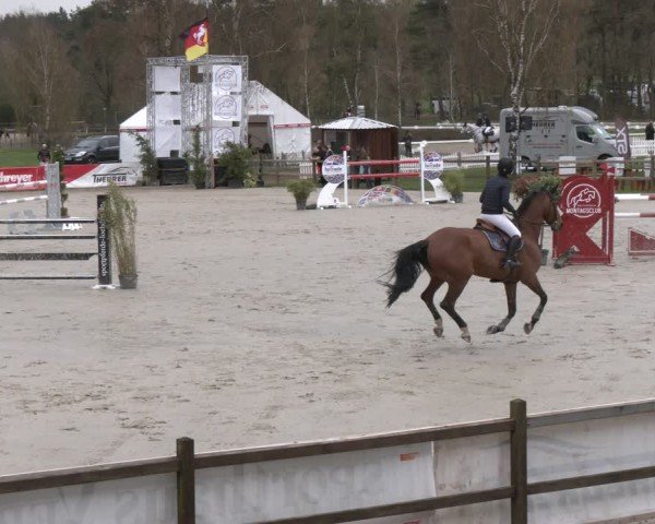 Reitturnier Westergellersen 2024