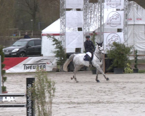 Reitturnier Westergellersen 2024